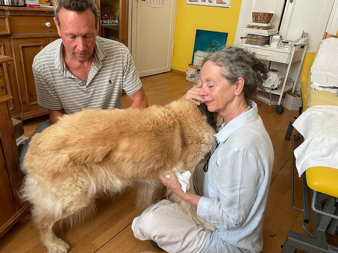 Gabriele sitzt mit einem Halter und seinem Golden Retriever in einem ruhigen Praxisraum.