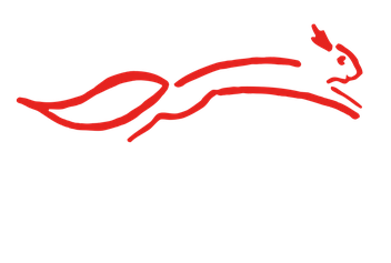 Mitglied im Berufsverband Tierkommunikation